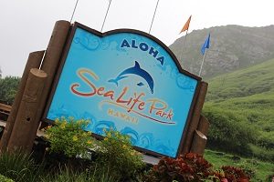シーライフパーク