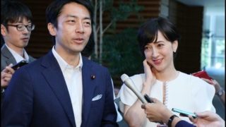 小泉進次郎、結婚、条件