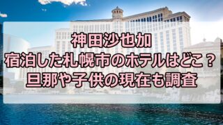 神田沙也加が宿泊した札幌市のホテルはどこ？旦那や子供の現在も調査